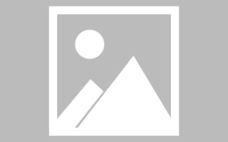 广州关于网站制作的文章（关于网站制作的文章有哪些）